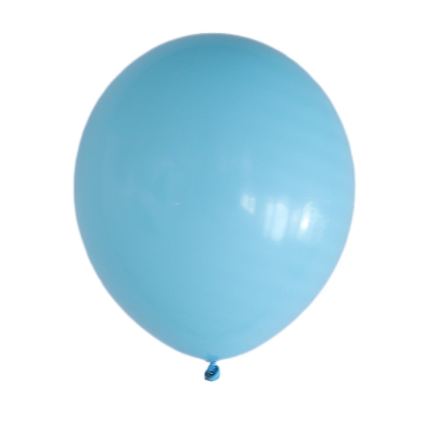 Blauwe Ballonnen (10 stuks / 30 CM) - PartyPro.nl