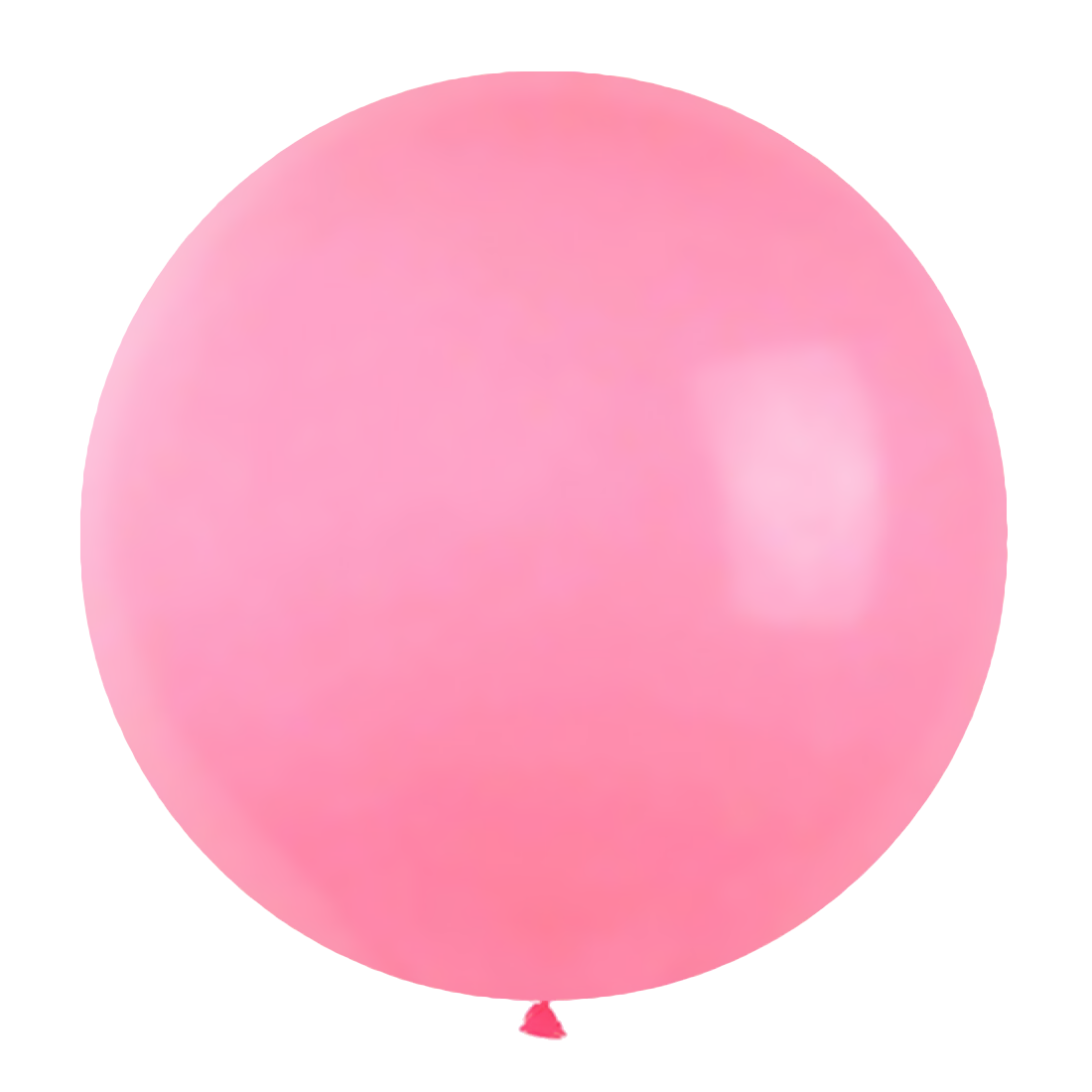 Roze Ballonnen (10 stuks / 90 CM) - PartyPro.nl